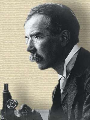 Almroth Wright photo shown with microscope, profile, facing left